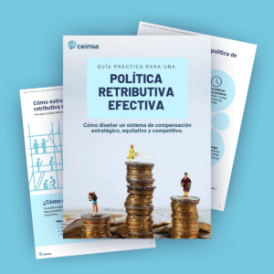 ebook política retributiva efectiva